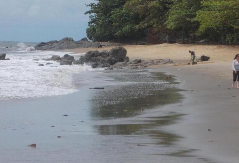 سوییت اجرایی, Executive Suites & Apartments Vip Services