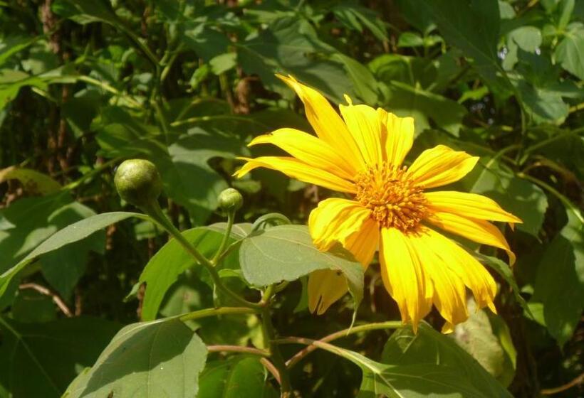 آپارتمان 2 خوابه, Executive Suites & Apartments Vip Services