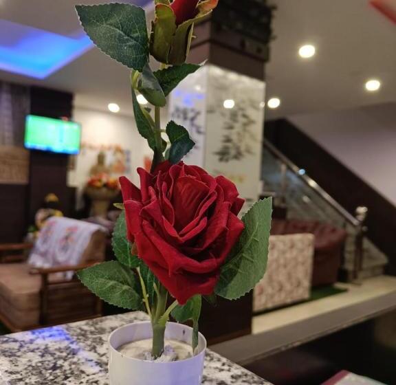 غرفة قياسية, King Castle Mcleodganj