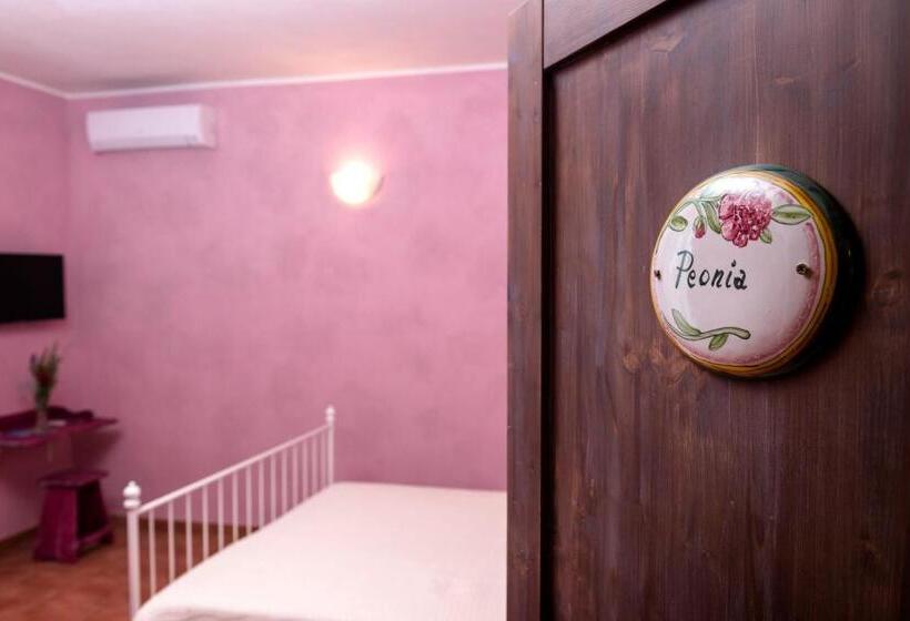 اتاق استاندارد, La Rupe Dei Gabbiani