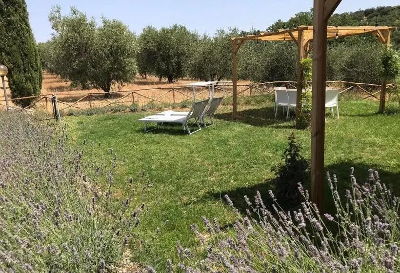 １ベッドルームハウス, Tenuta Le Mandorlaie, Agriturismo In Scansano