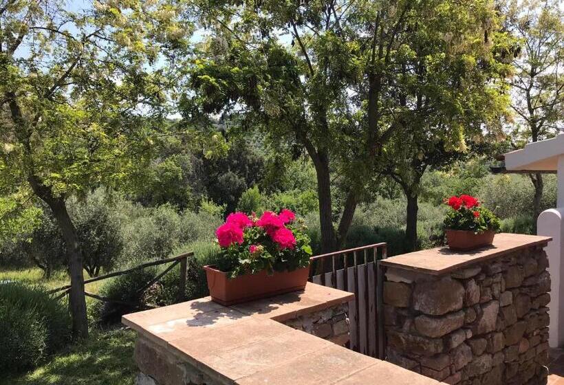 בית, חדר שינה 1, Tenuta Le Mandorlaie, Agriturismo In Scansano