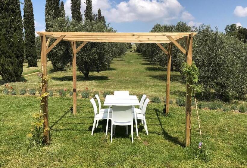 בית, חדר שינה 1, Tenuta Le Mandorlaie, Agriturismo In Scansano