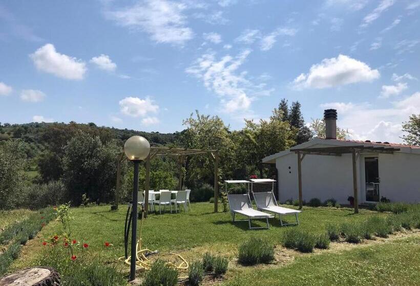 Дом 1 Спальня, Tenuta Le Mandorlaie, Agriturismo In Scansano