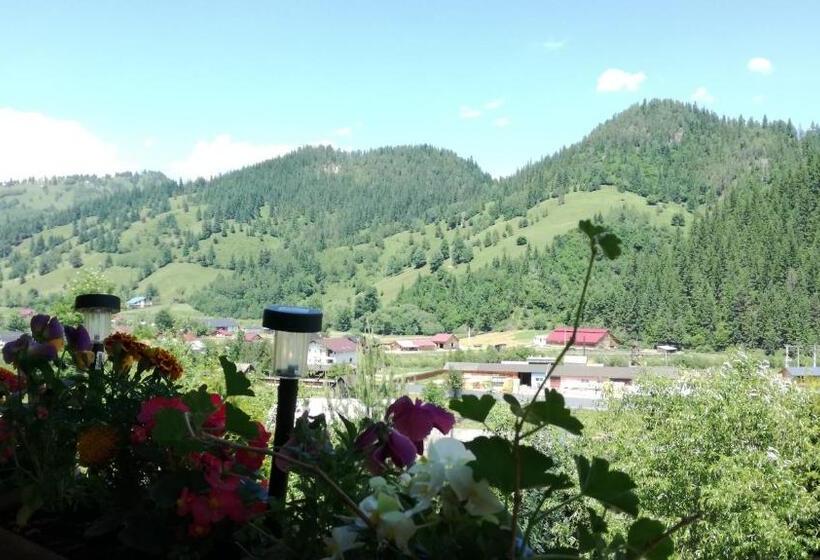 غرفة قياسية, Flori De Bucovina