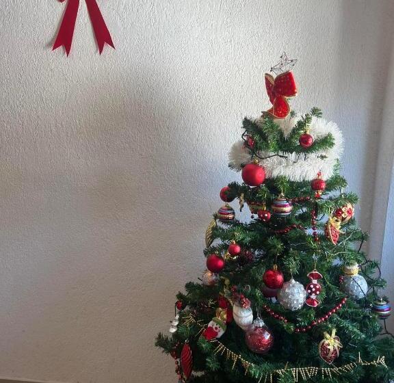 اتاق خانوادگی, Ski Center House Mavrovo