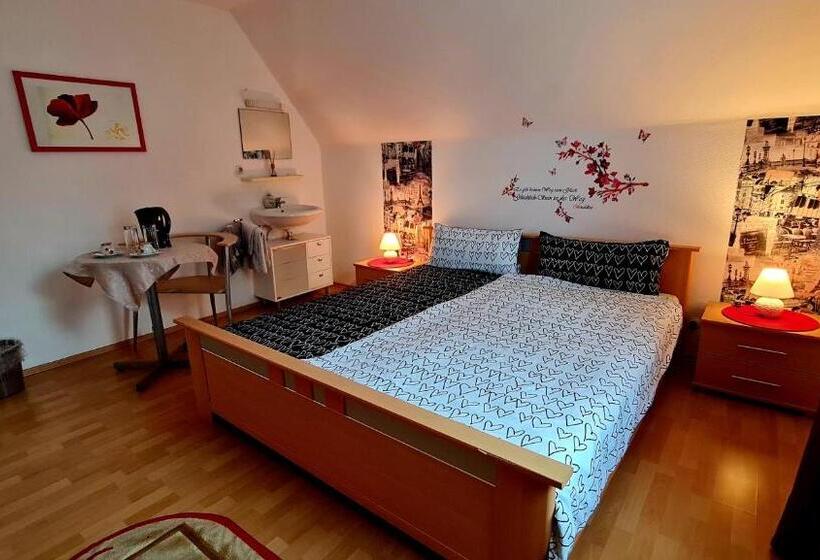 Quarto standard, Pension Transilvania