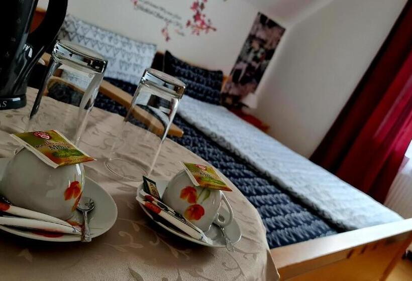 غرفة قياسية, Pension Transilvania