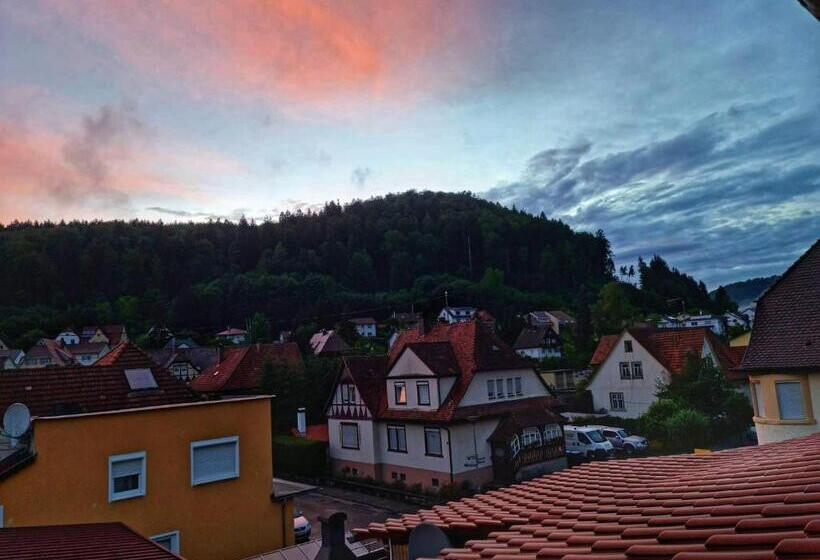 غرفة عائلية مطلّة علي الجبل, Pension Transilvania