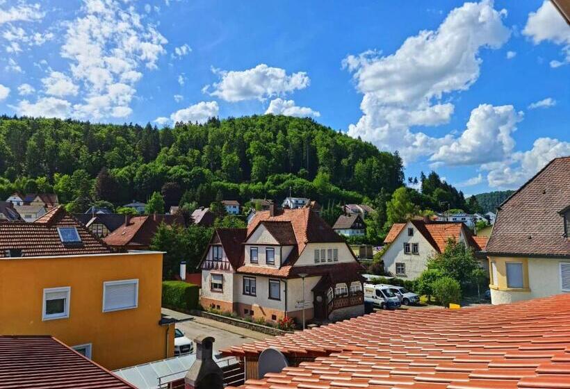 Семейный Номер Вид на Горы, Pension Transilvania