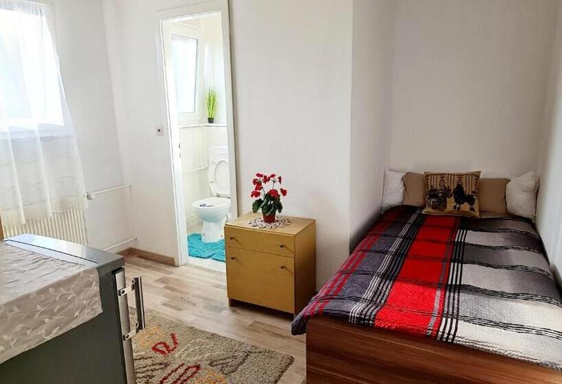 غرفة عائلية مطلّة علي الجبل, Pension Transilvania