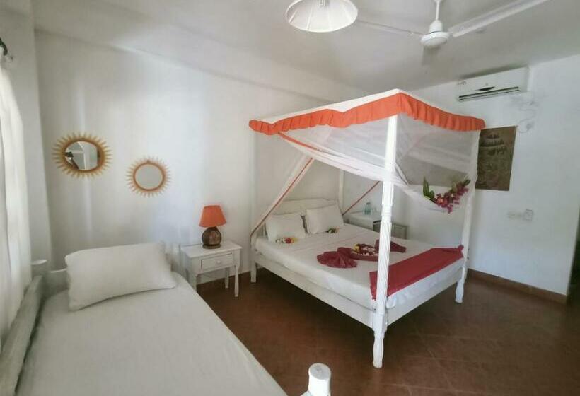 اتاق استاندارد, Lily Palm Resort