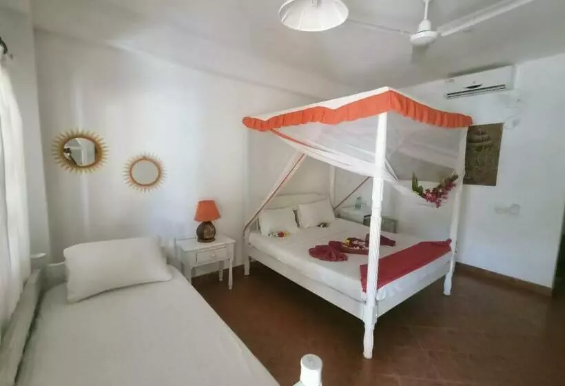 اتاق استاندارد, Lily Palm Resort