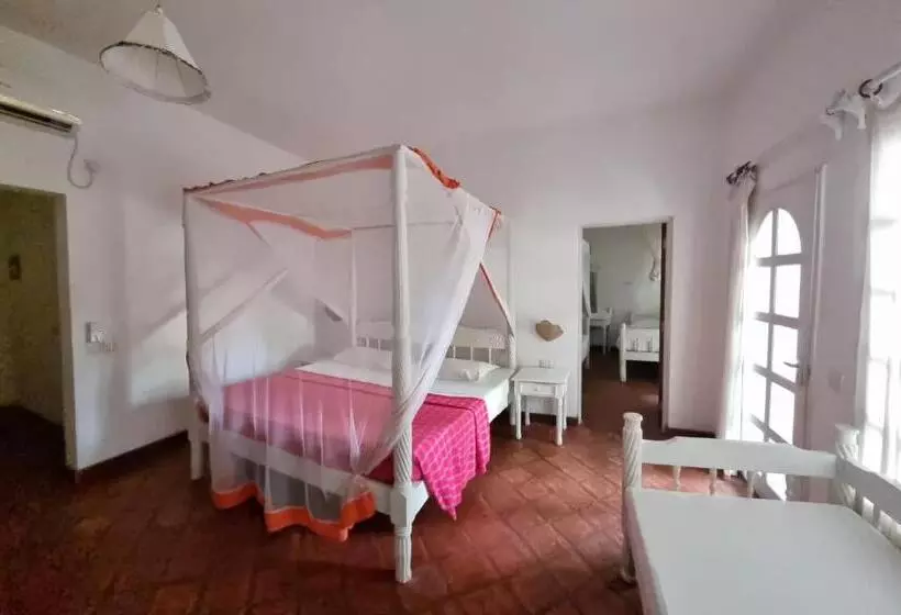اتاق خانوادگی, Lily Palm Resort