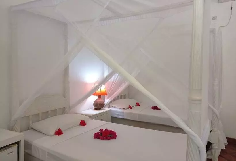 اتاق استاندارد, Lily Palm Resort