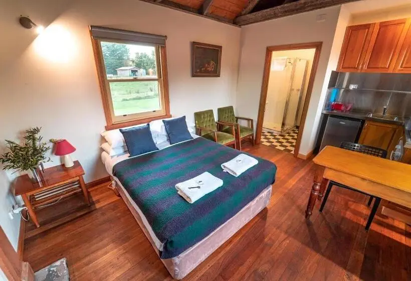 Studio Standard, Icena Accommodation