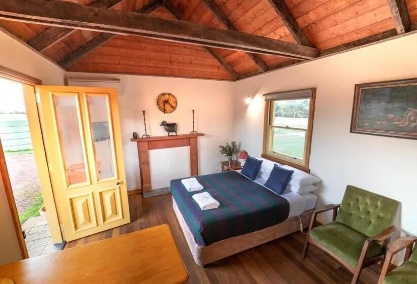 Studio Standard, Icena Accommodation