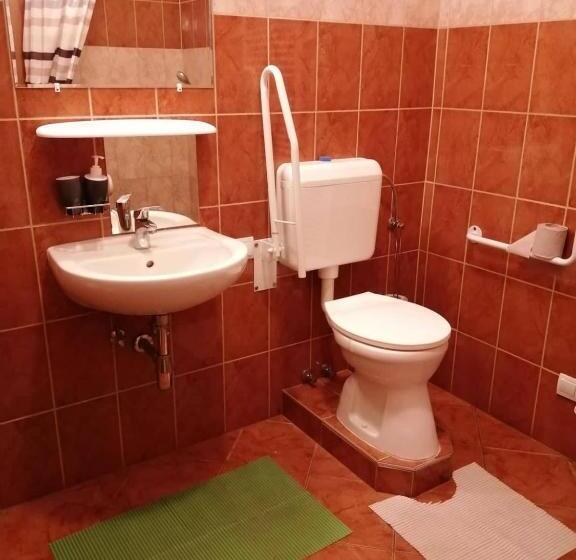 适合残疾人使用的标准间, Vár Liget Vendégház