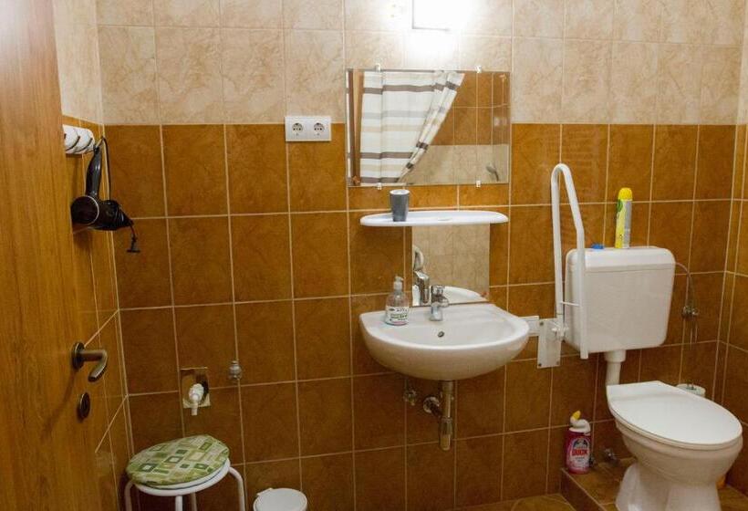 适合残疾人使用的标准间, Vár Liget Vendégház