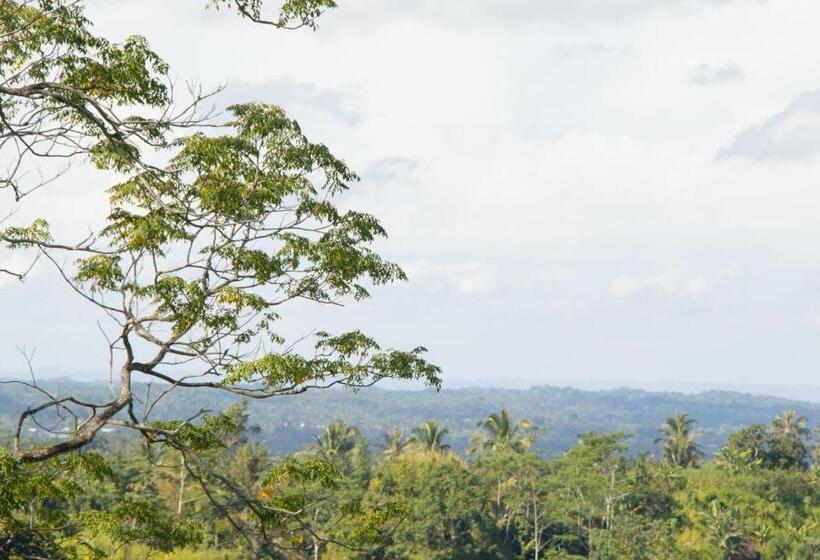 Номер Стандарт, Goa Walet Cottage