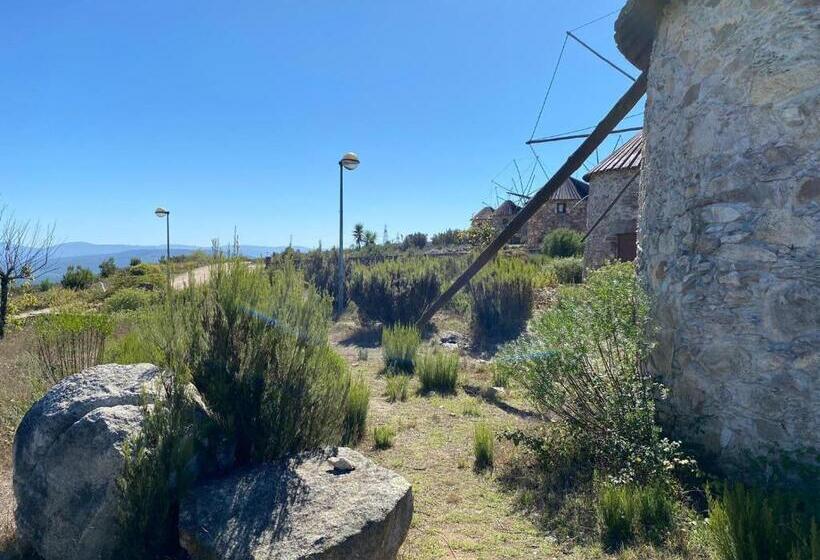 标准间, A Casa Amarela Guest Room