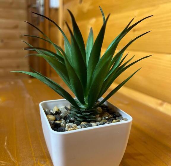 1 Sovrums Lägenhet med Utsikt, порядна ґаздиня