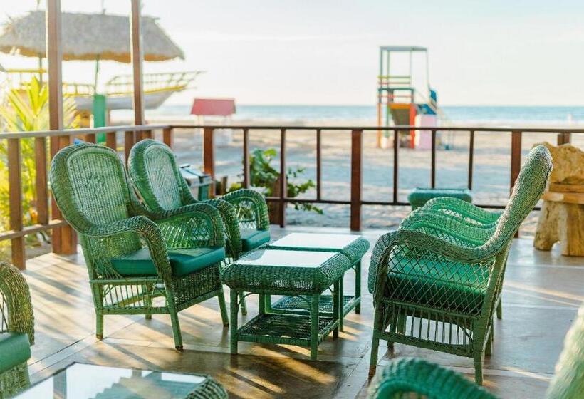סטודיו דלוקס, Playa Palmeras Palmeras Beach Resort