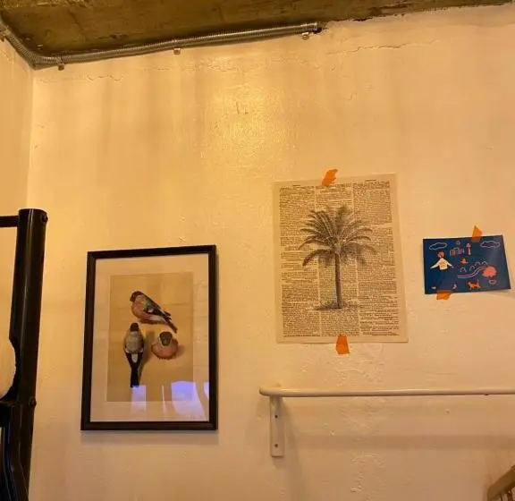 اتاق استاندارد, Space Ara