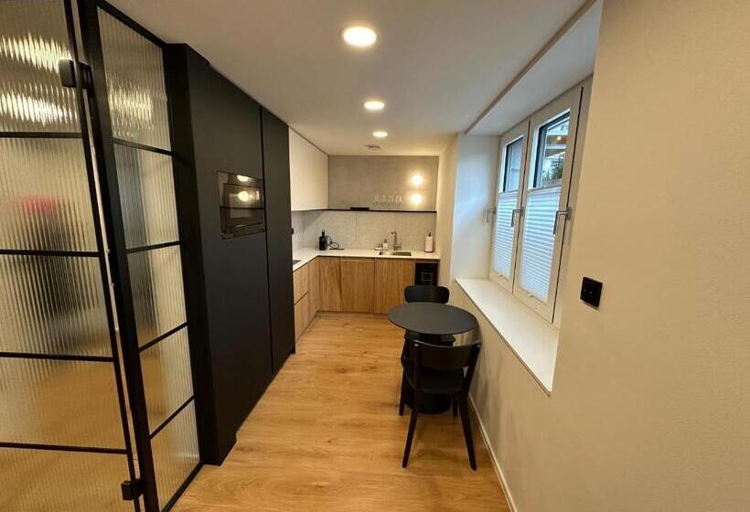 إستوديو قياسى مزودة بتراس, Apartmány Vila Terasy