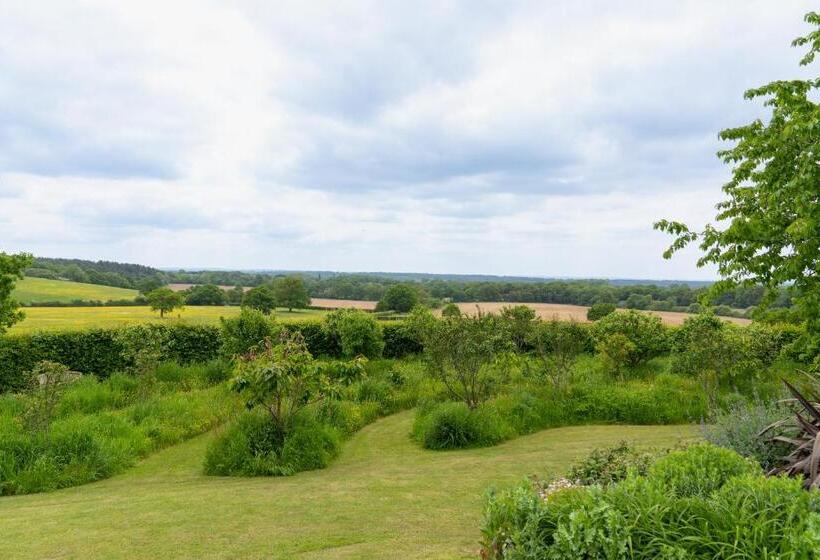 带大床的标准间, Mattie S Loft