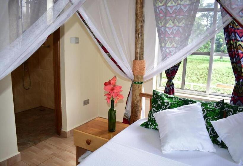 스탠다드 룸, Kilimanjaro Accommodation