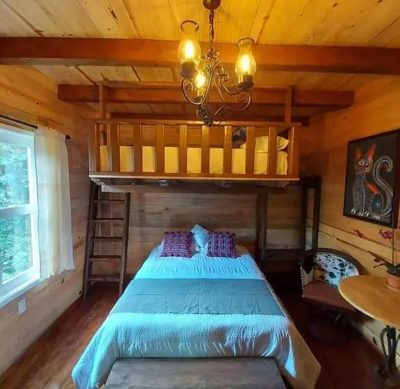 スーペリアー１ベッドルームビラ, La Cabaña Del Bosque