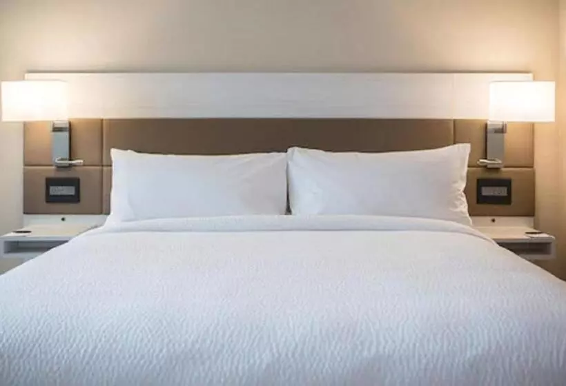身障者適用キングサイズベッドルーム, Ac Hotel By Marriott San Jose Downtown