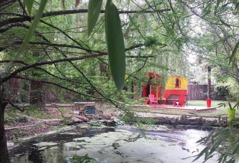 Номер Стандарт, Le Clos D'any