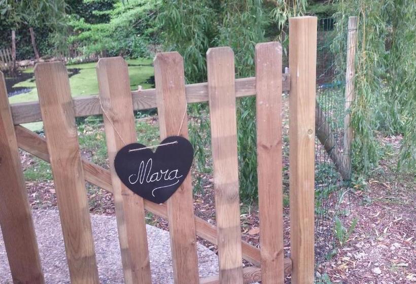 Номер Стандарт, Le Clos D'any