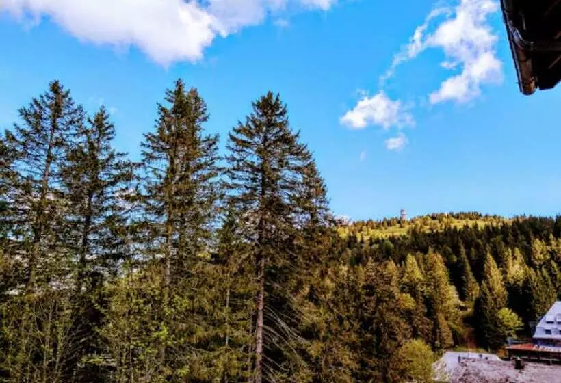 Sviitti Vuoristonäkymä, Burg Hotel Feldberg