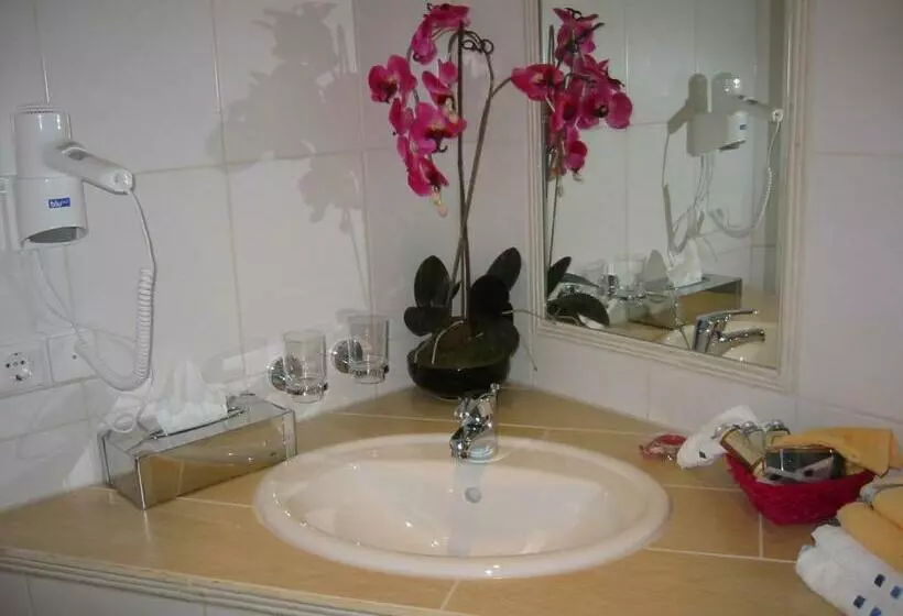 エコノミールーム, Cleo´s Hotel Kallstadt