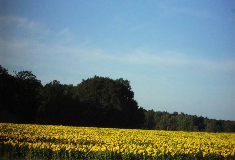 غرفة قياسية, Land Gut Hotel Dierks