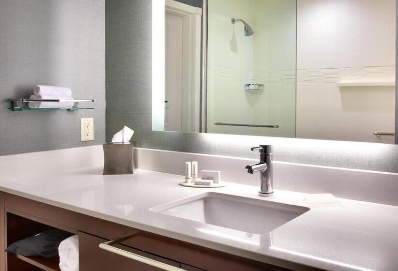 带大床的标准工作室, Residence Inn By Marriott Casper