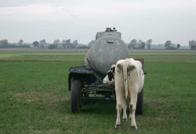 １ベッドルームアパートメント, Villameehr