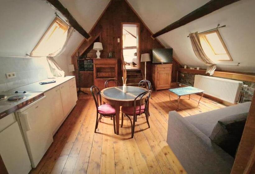 １ベッドルームのスーペリアアパートメント, B&b La Source De La Géronstère