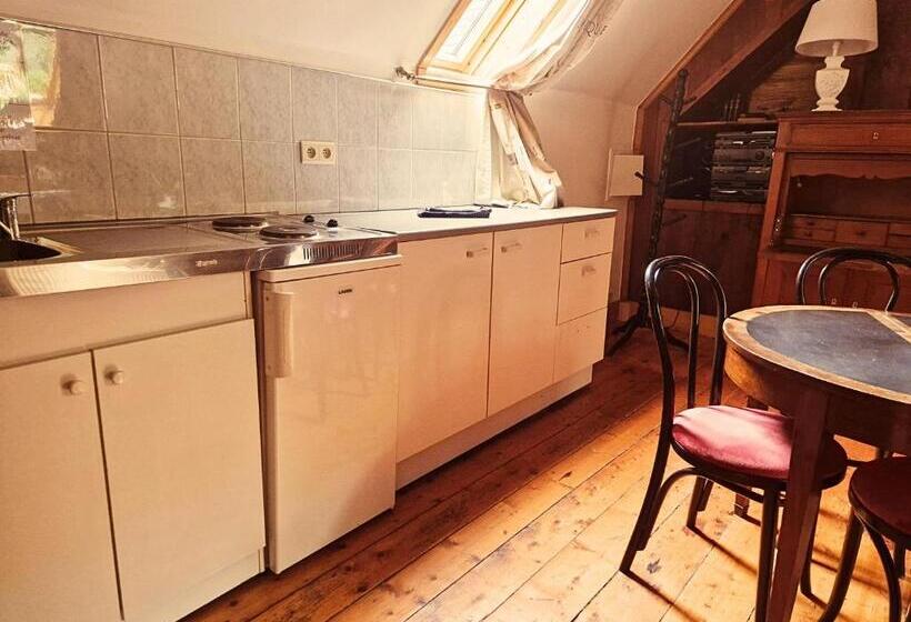 Апартаменты Superior 1 Спальня, B&b La Source De La Géronstère