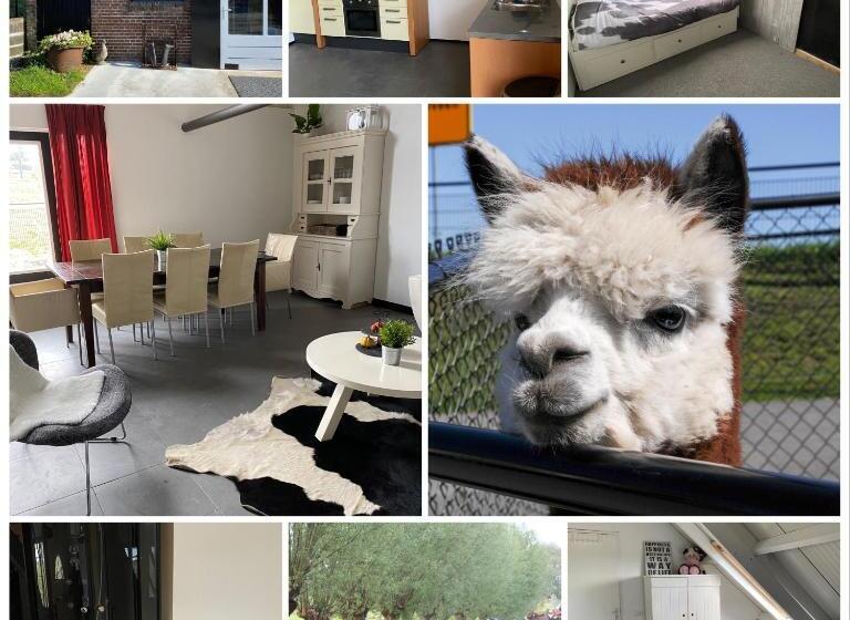 דירת חדר עם טרסה, Herberg Boerderij De Straat Hof