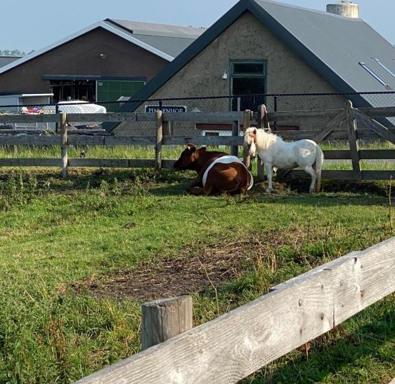 חדר סטודיו סטנדרד, Herberg Boerderij De Straat Hof