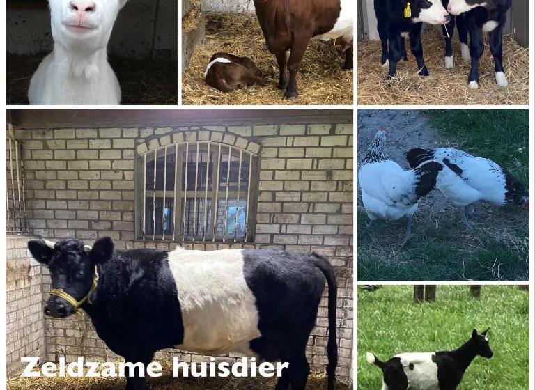 בית, חדר שינה 1, Herberg Boerderij De Straat Hof