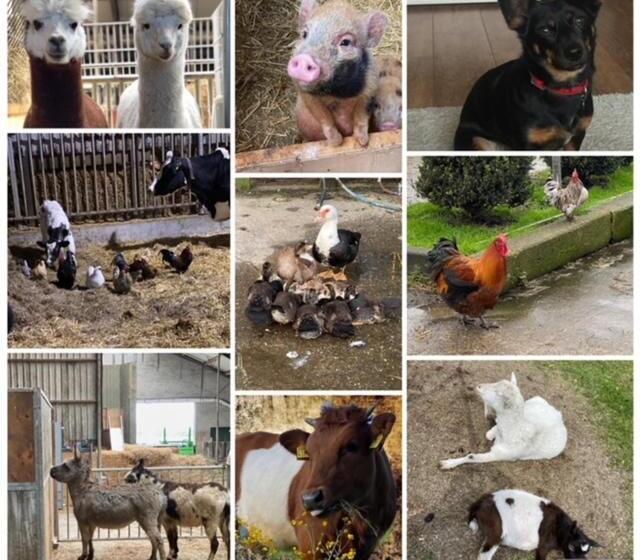 בקתת חדר, Herberg Boerderij De Straat Hof