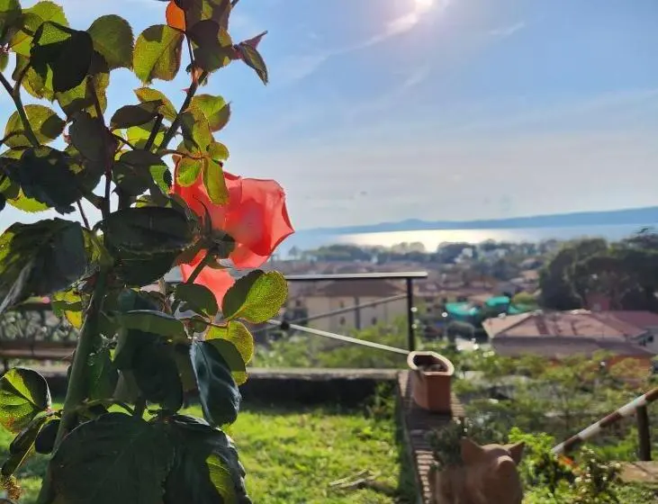 اتاق استاندارد, Agriturismo Le Vigne