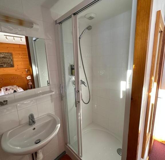 غرفة قياسية فردية, Epicéa Lodge Hôtel