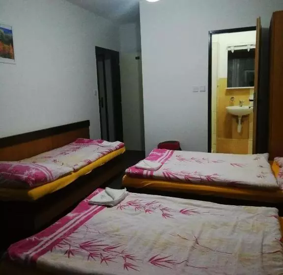 اتاق استاندارد سه نفره, Abc Hotel Nitra