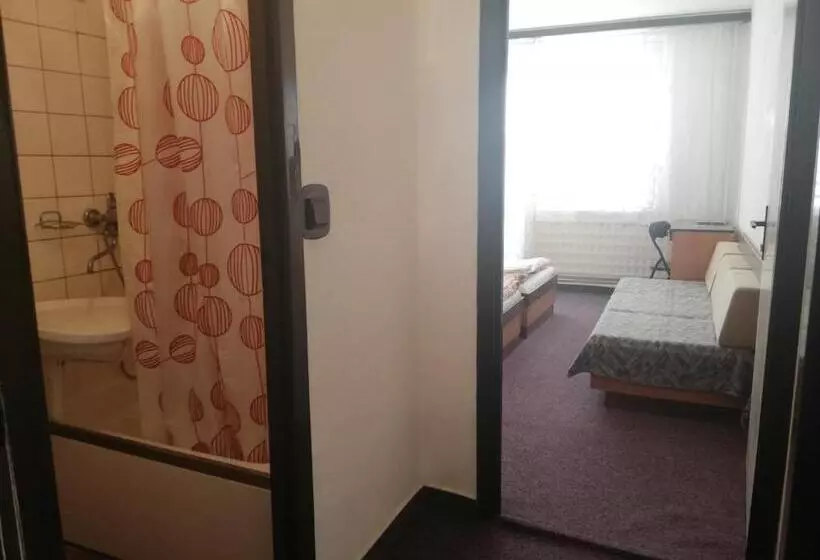 اتاق استاندارد با سرویس بهداشتی مشترک, Abc Hotel Nitra
